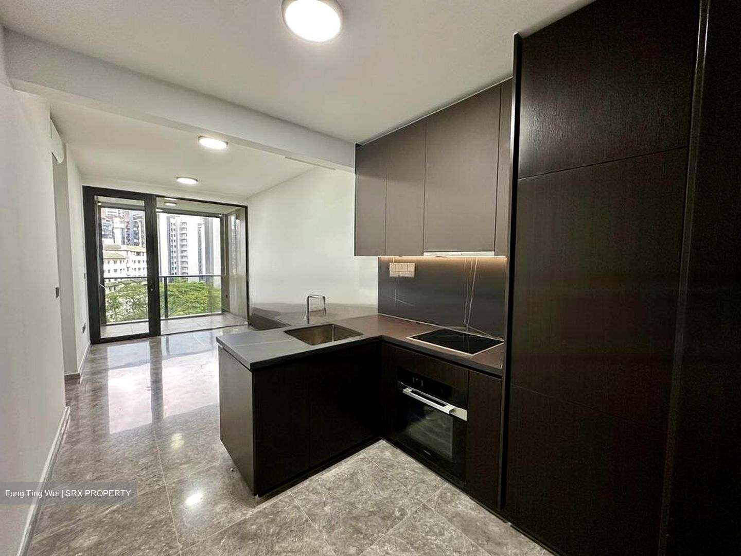 Hyll On Holland (D10), Condominium #465183721